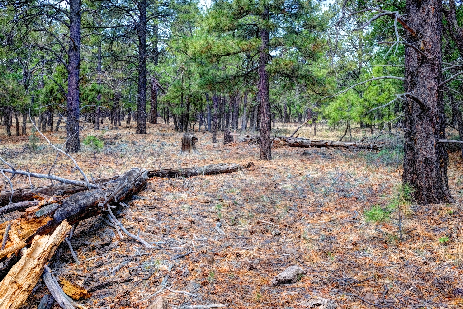 Verde Valley, Sedona