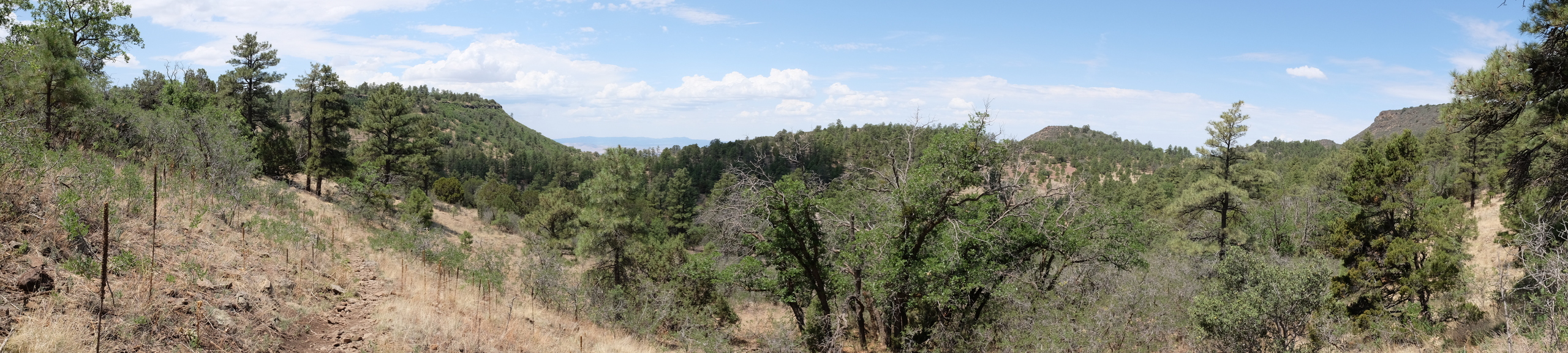 Verde Valley, Sedona