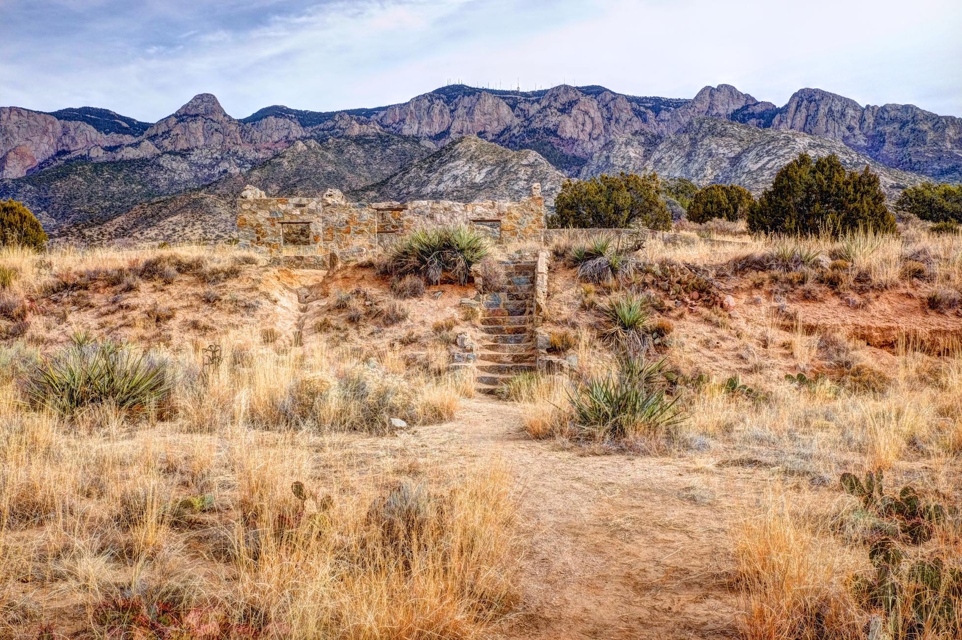 New Mexico