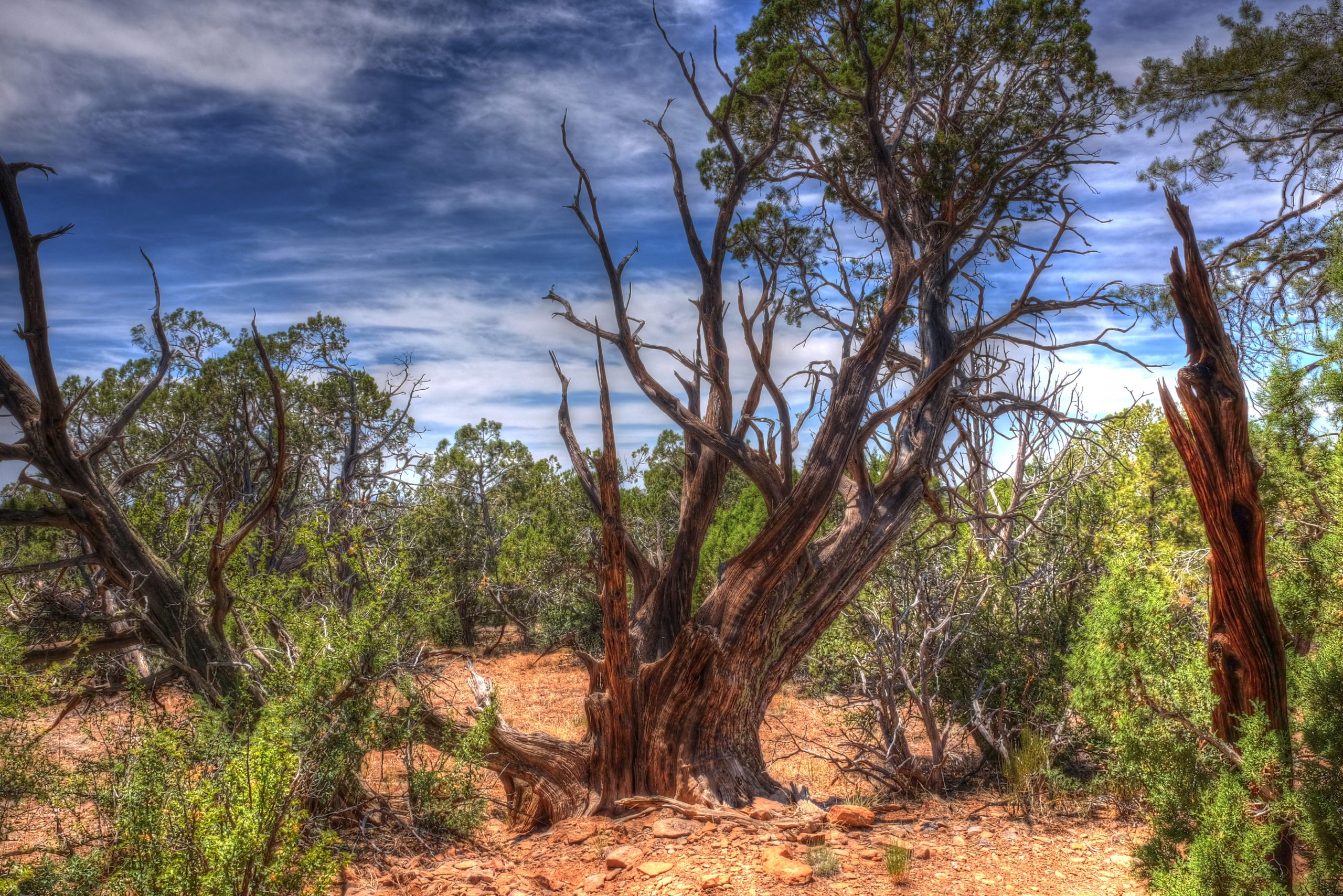 Red Butte