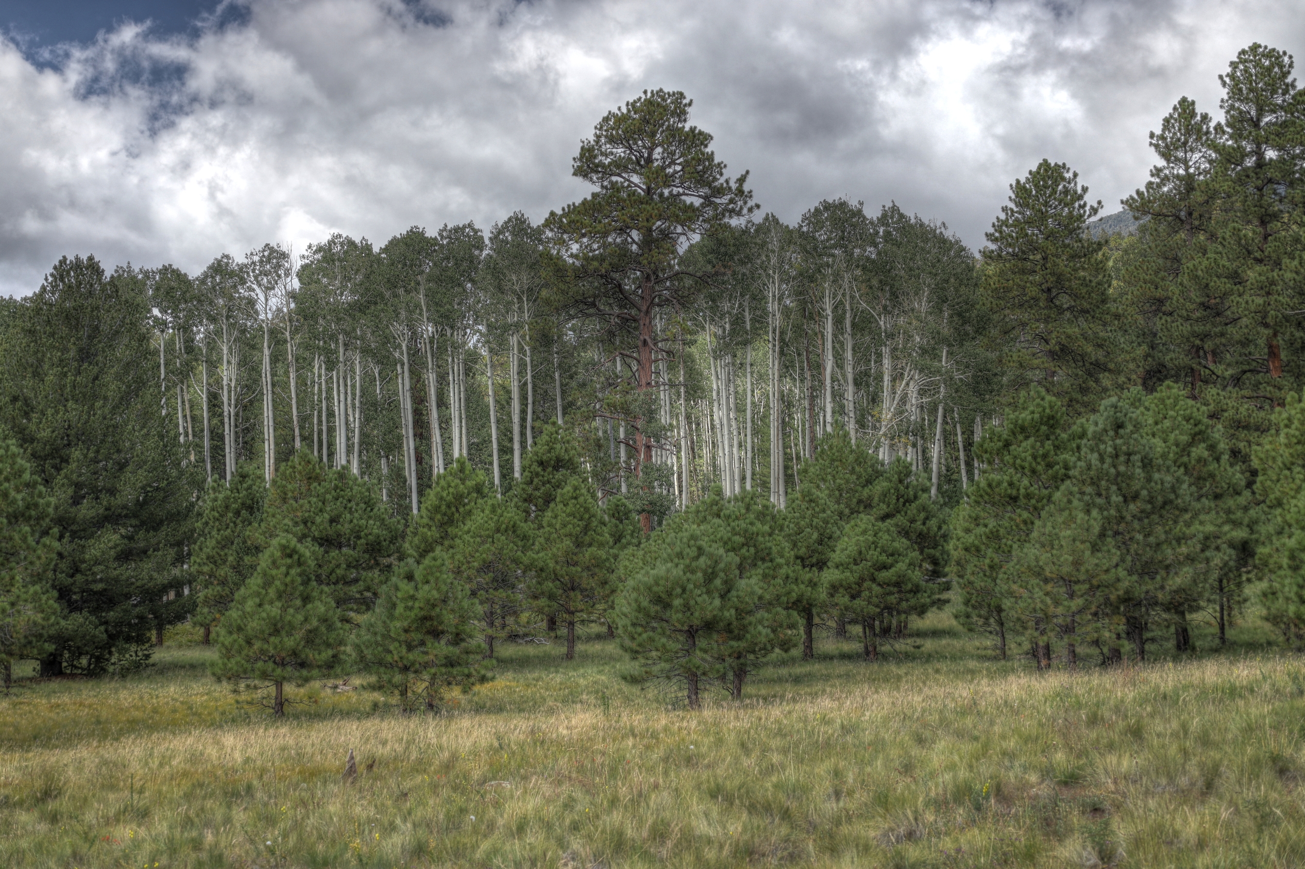 Weatherford Trail