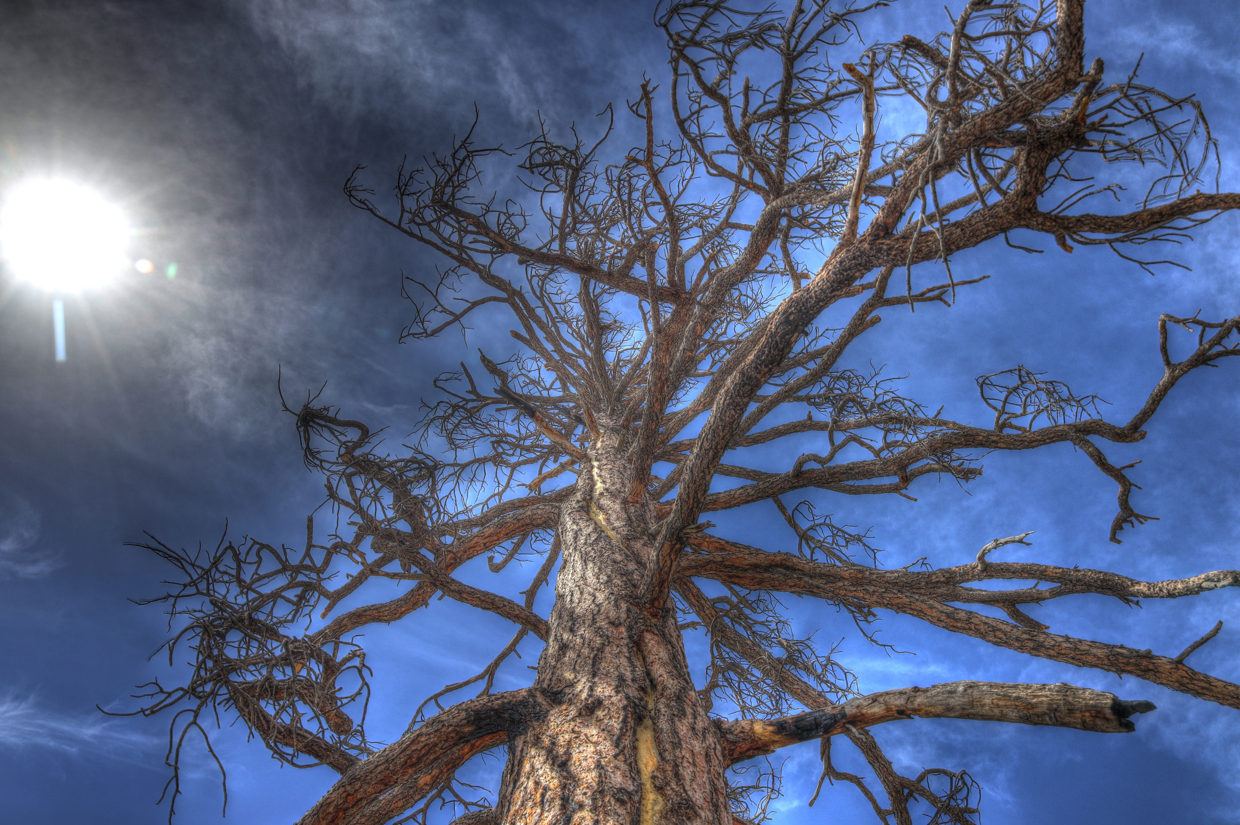 Sycamore Falls Trailhead