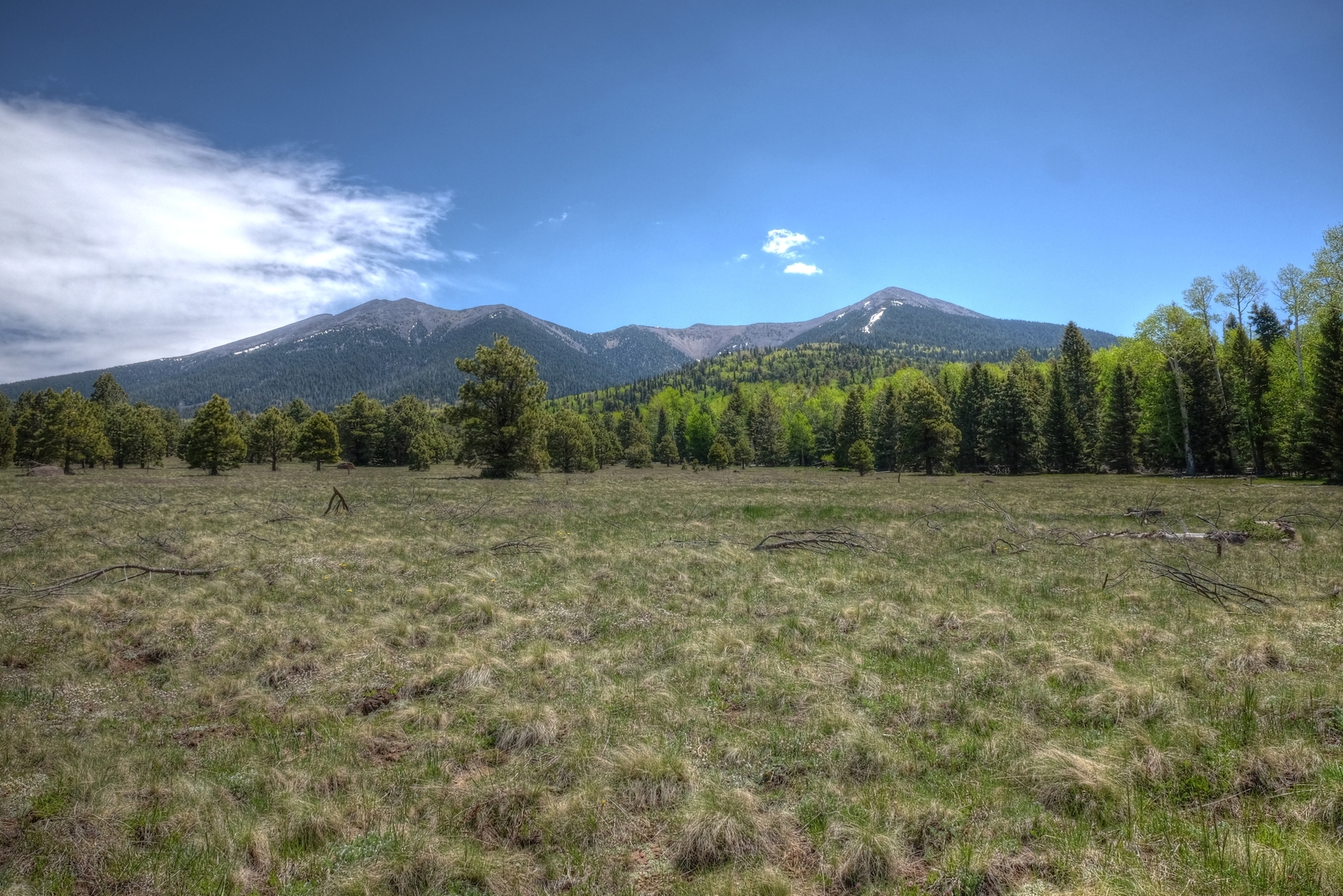 Coconino, AzTrail