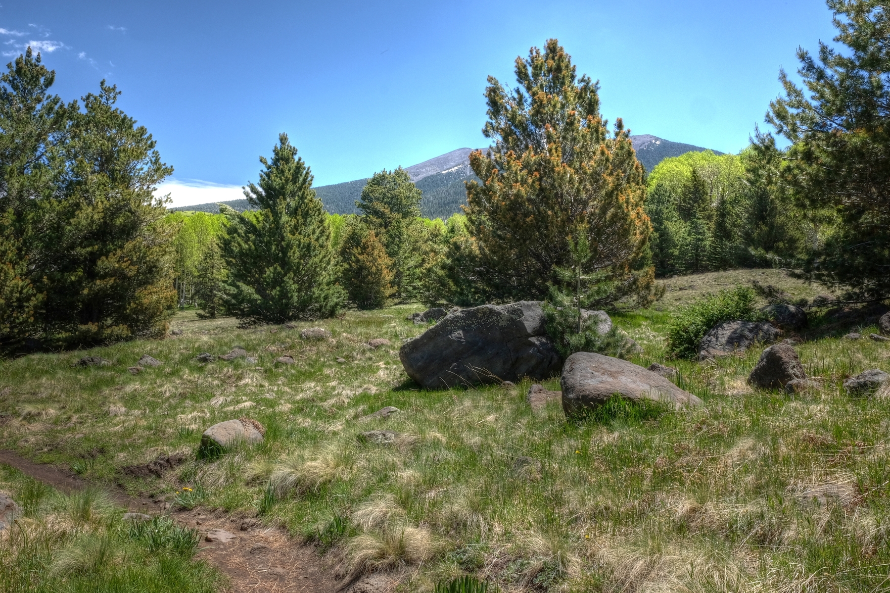 Coconino, AzTrail