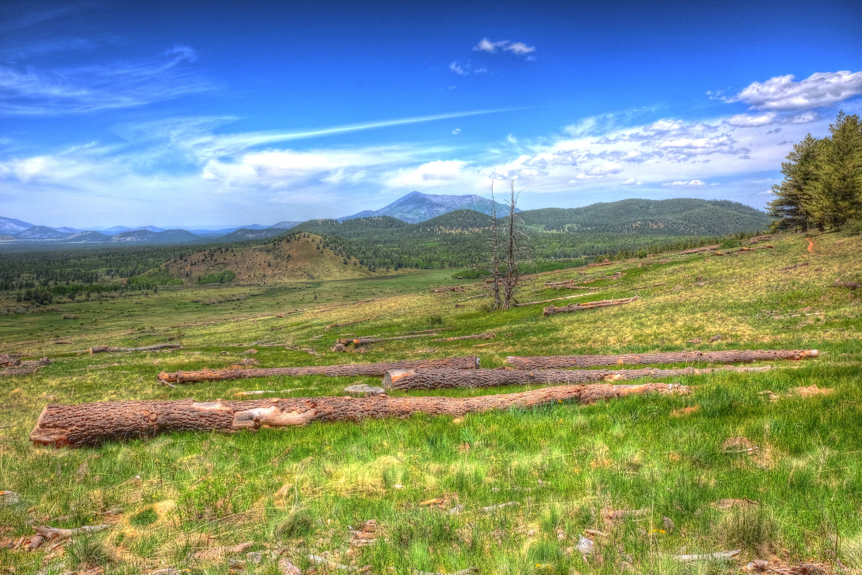 Coconino, AzTrail