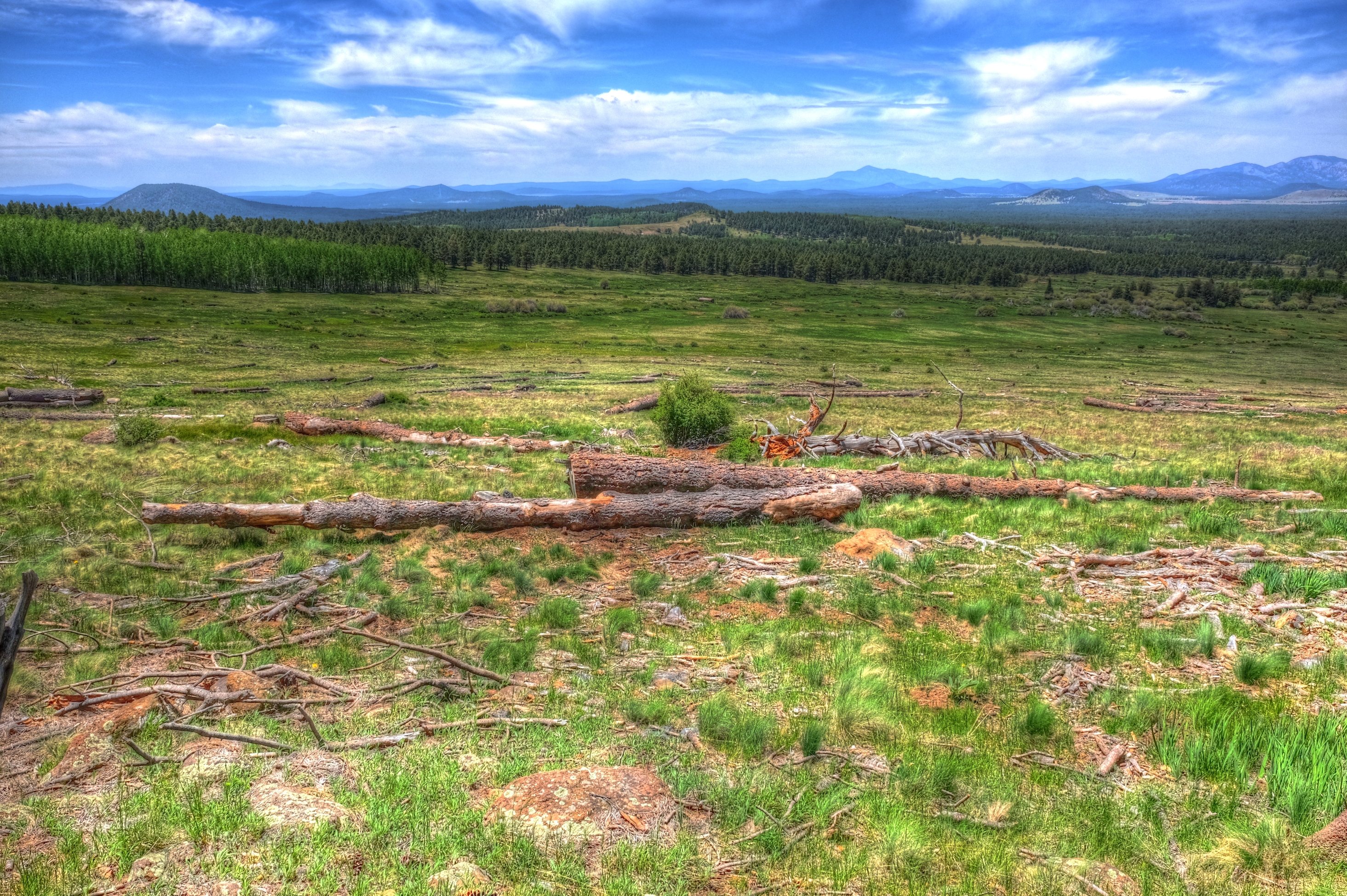 Coconino, AzTrail