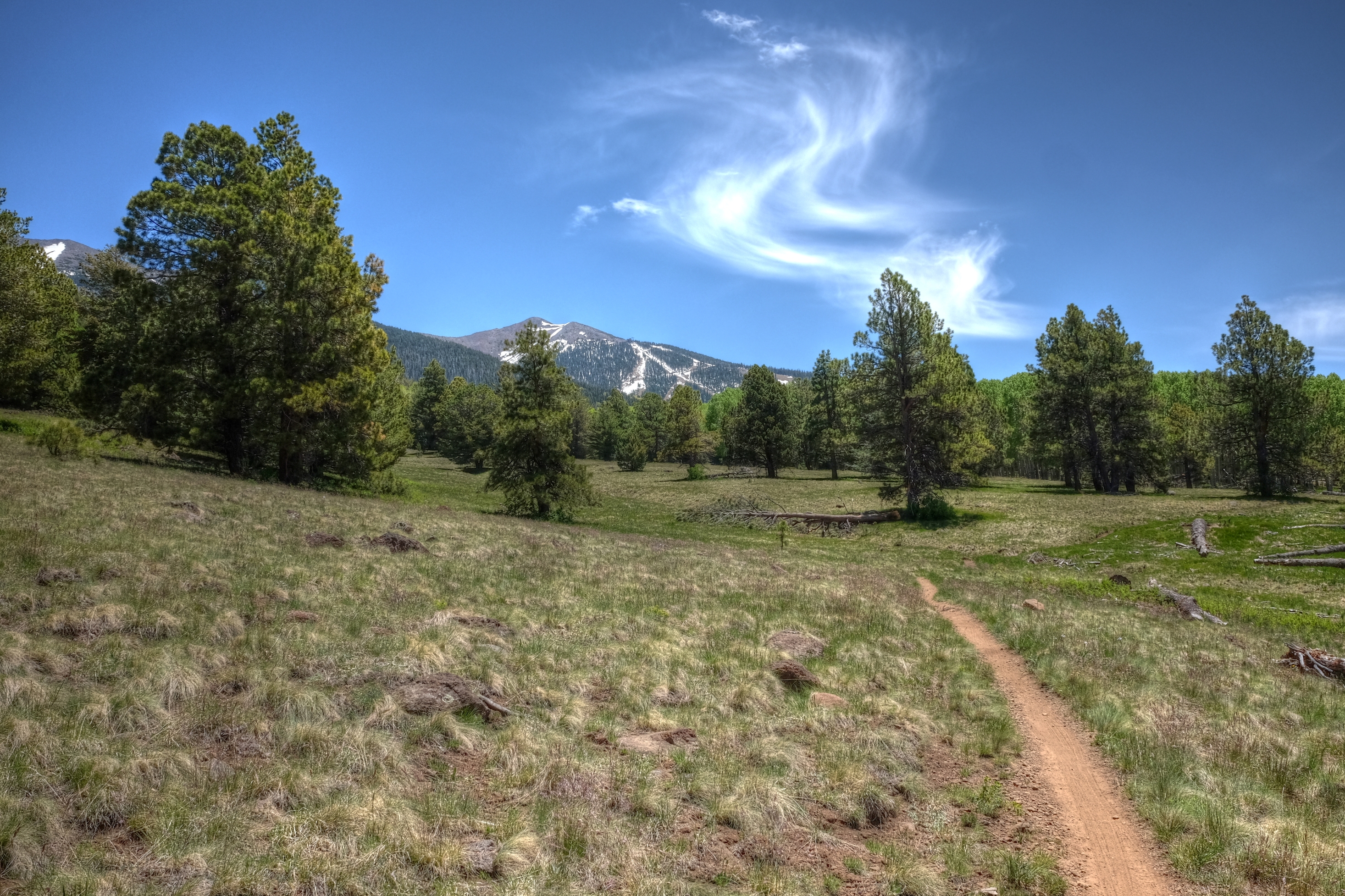 Coconino, AzTrail