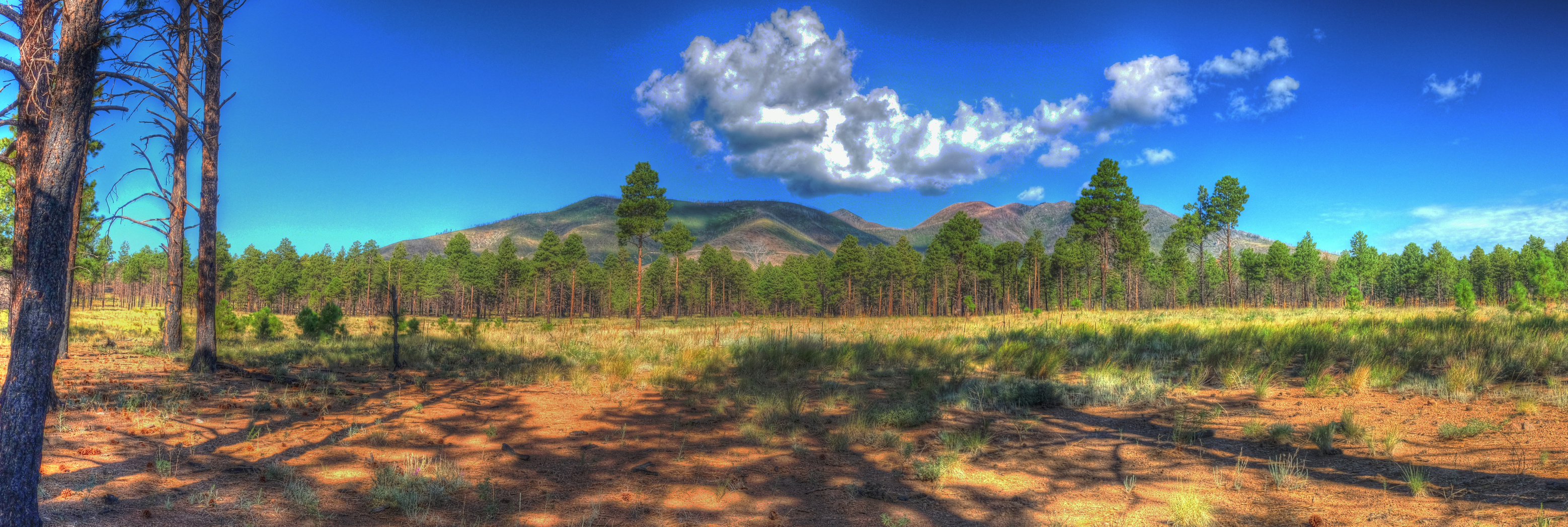 Coconino, Flagstaff