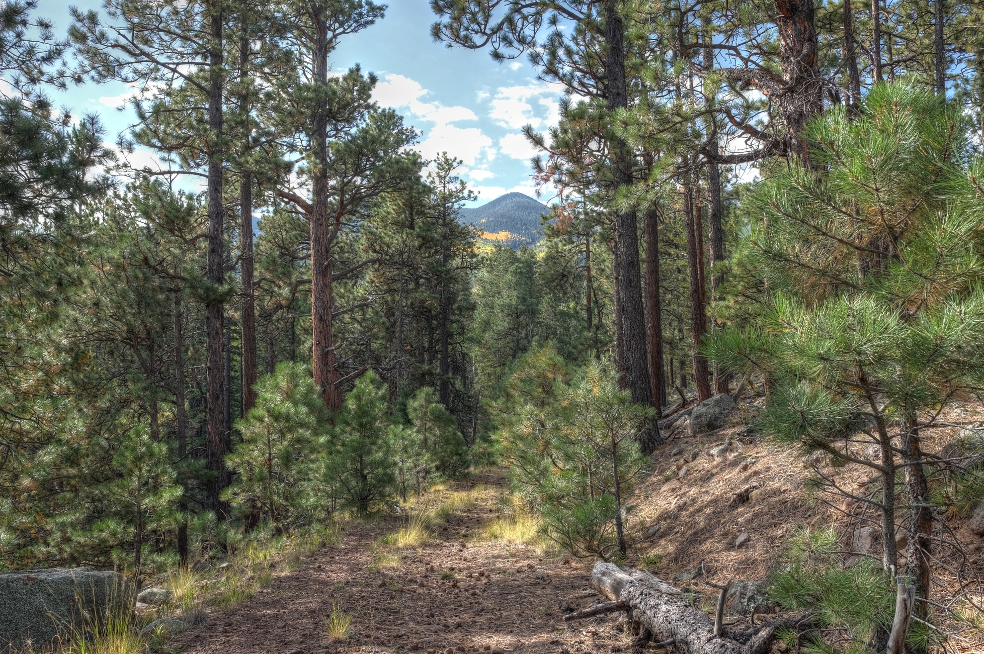 San Francisco Peaks