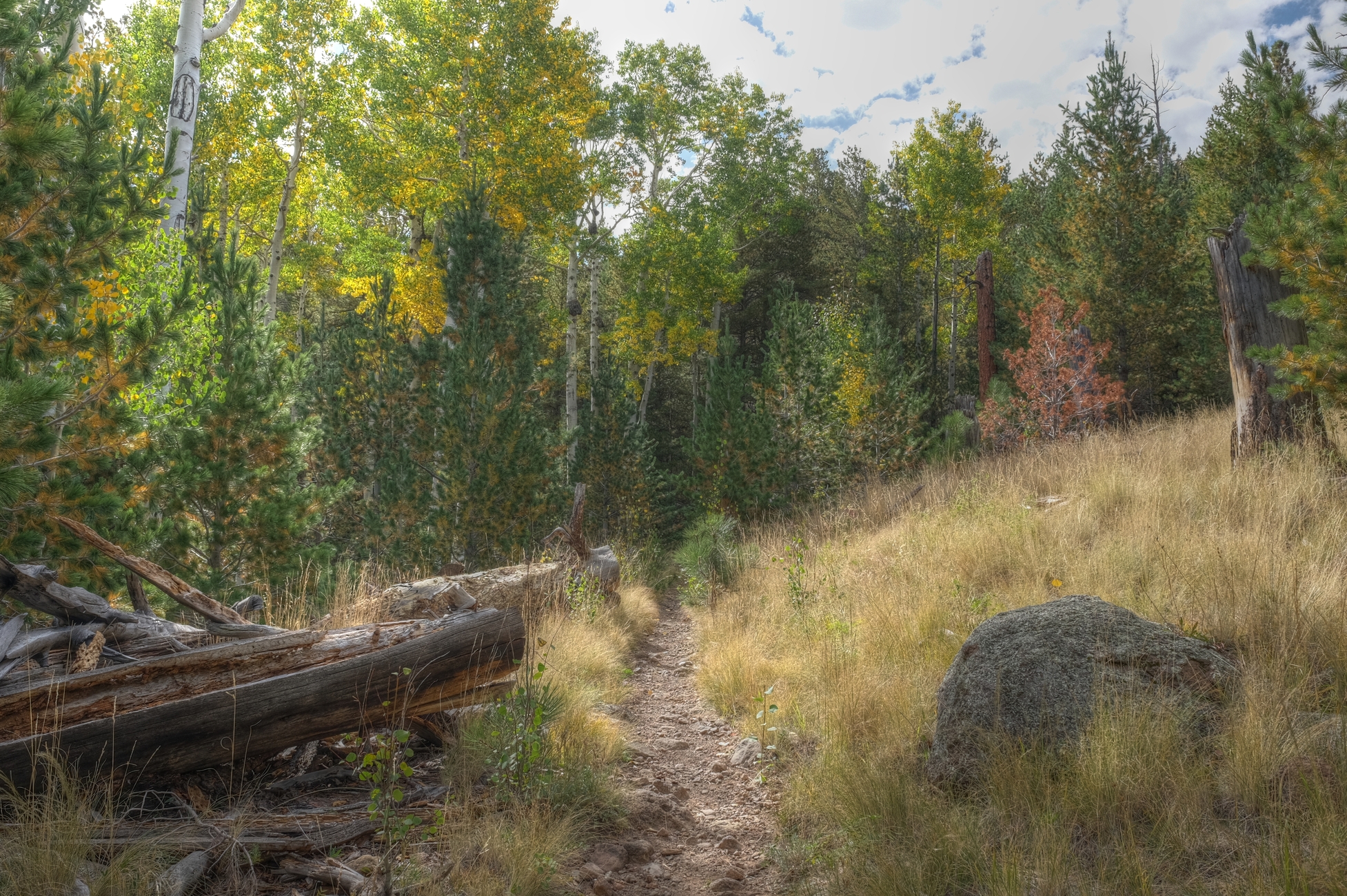 San Francisco Peaks