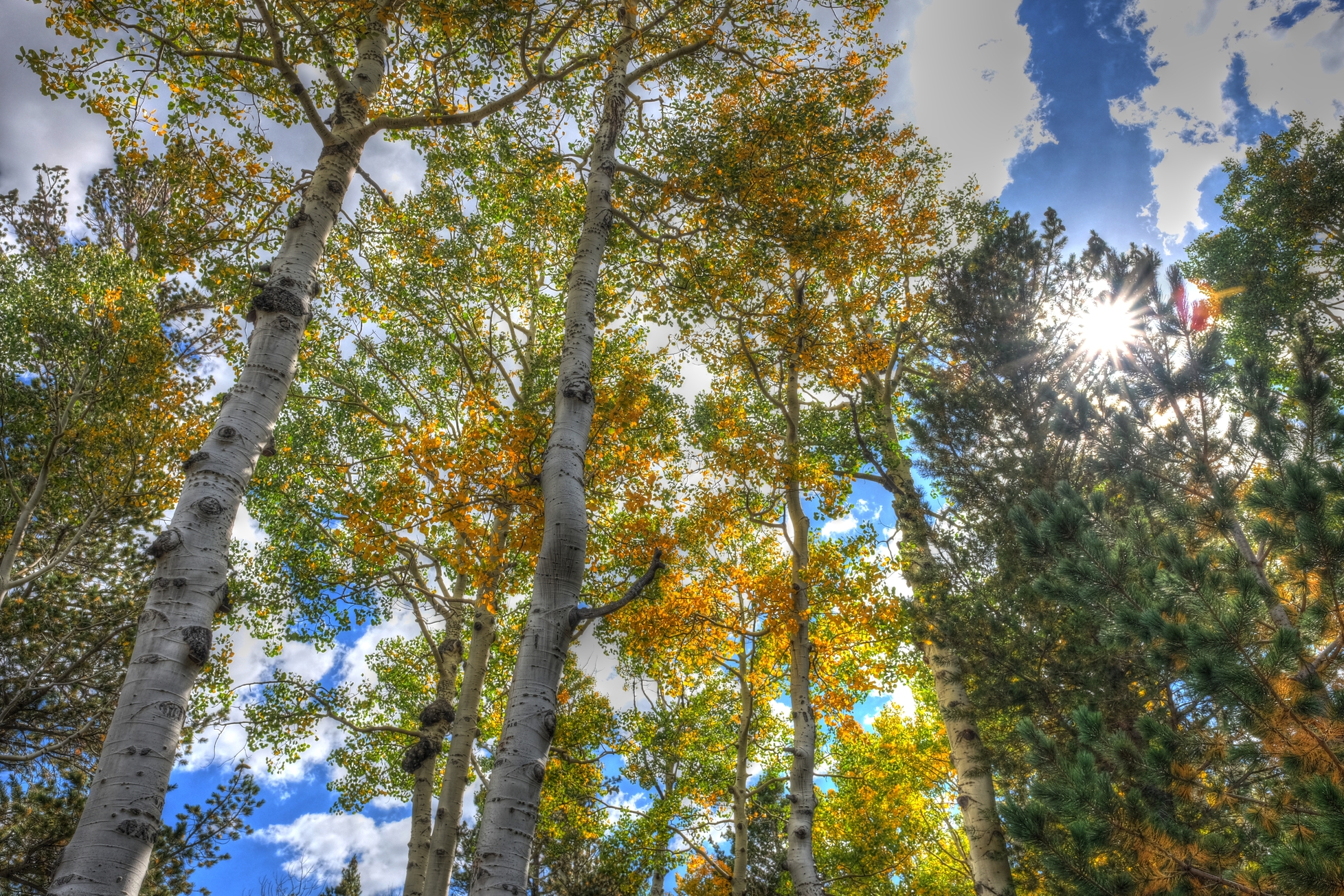 San Francisco Peaks