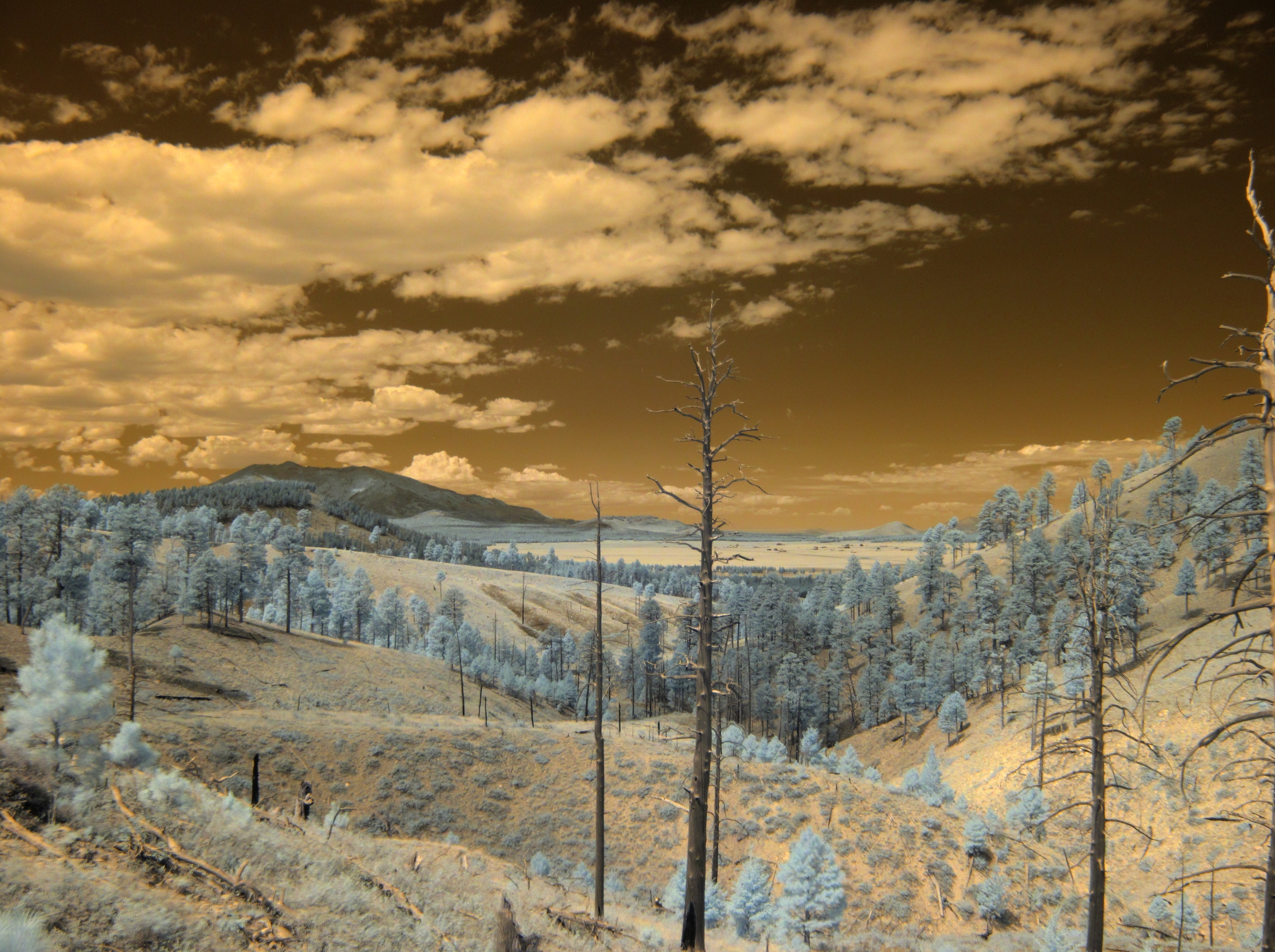North of the Peaks