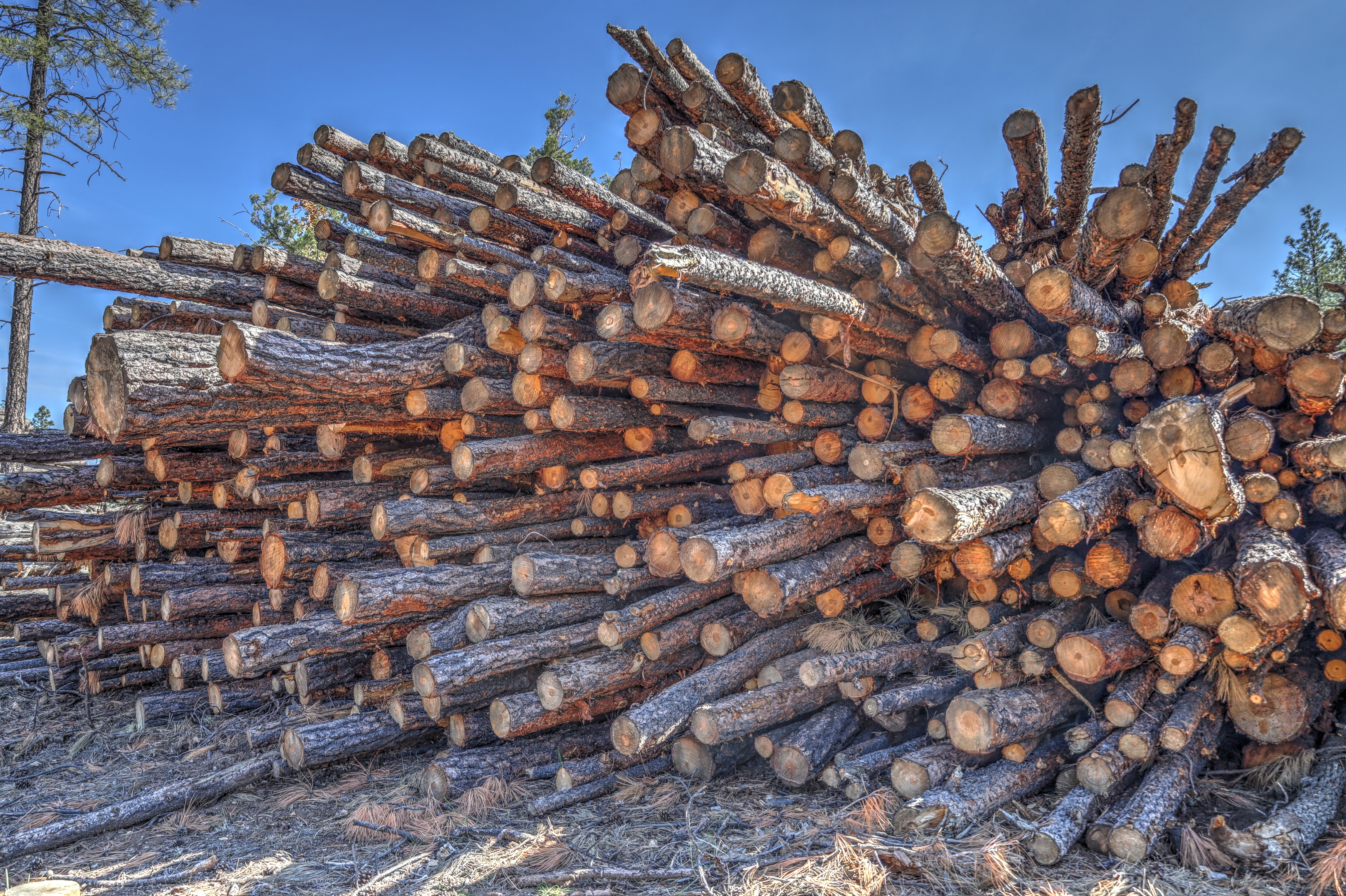Arizona Trail Lower Lake Mary