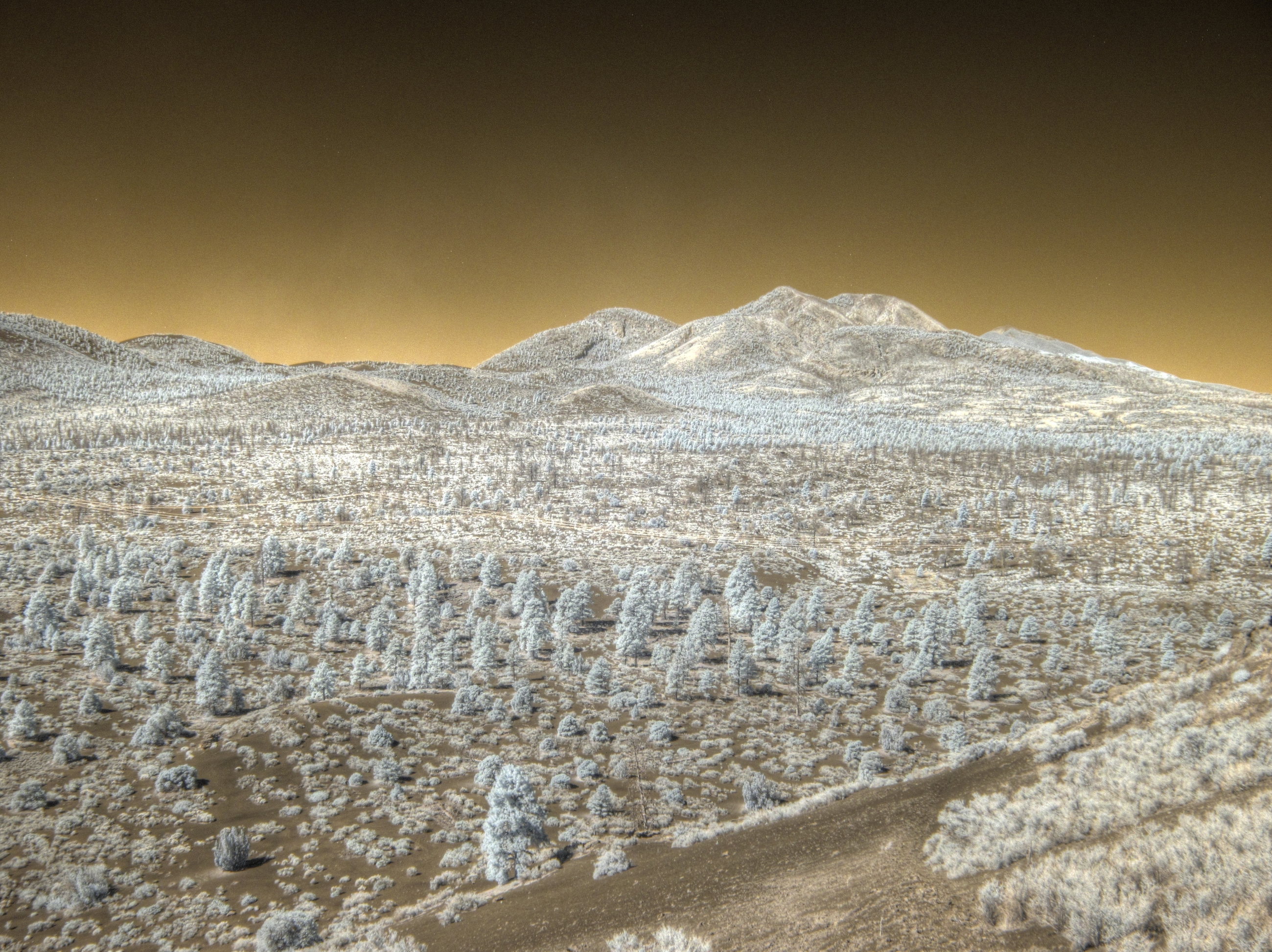 Flagstaff, Strawberry Crater