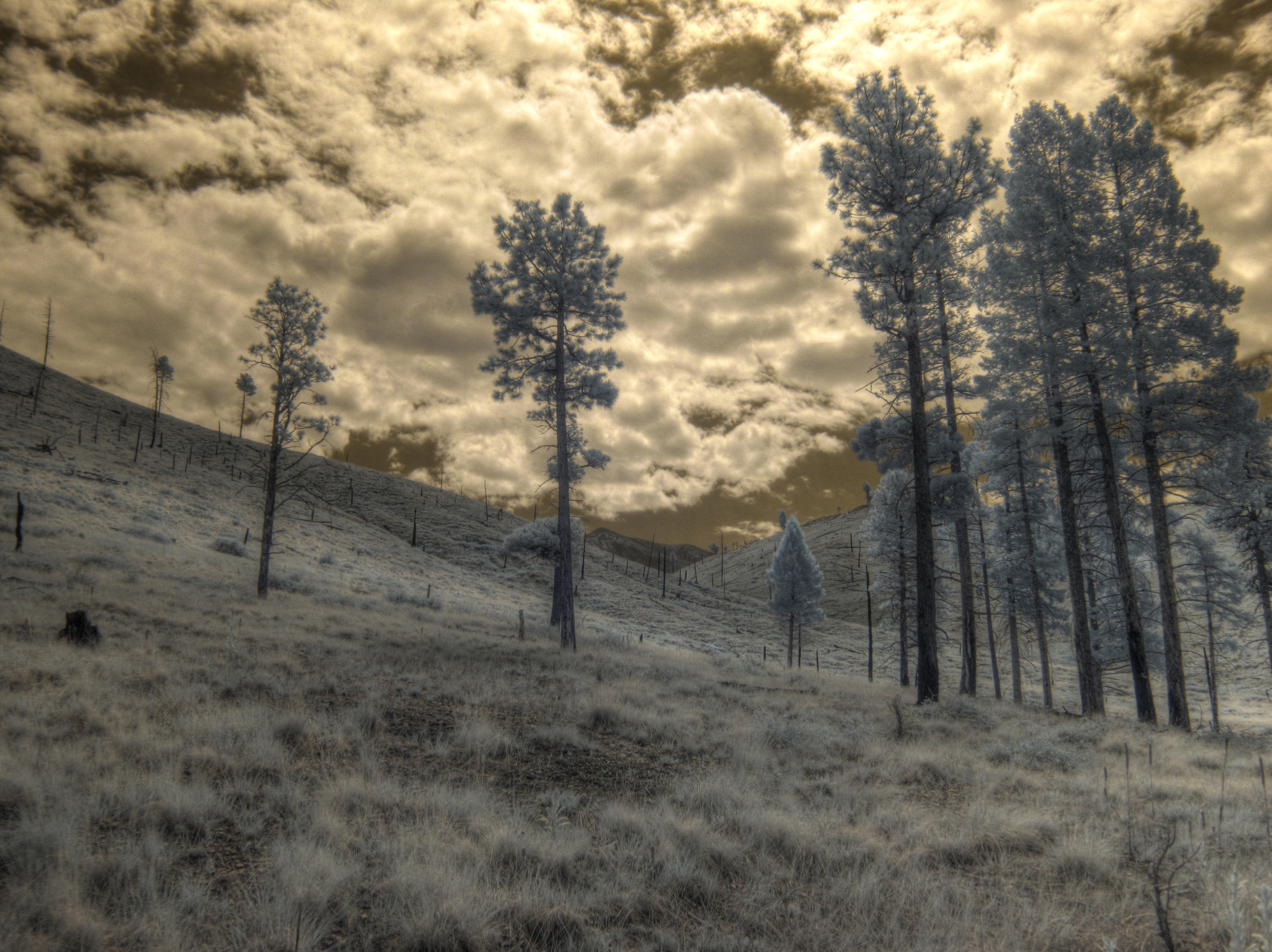 Flagstaff, San Francisco Peaks