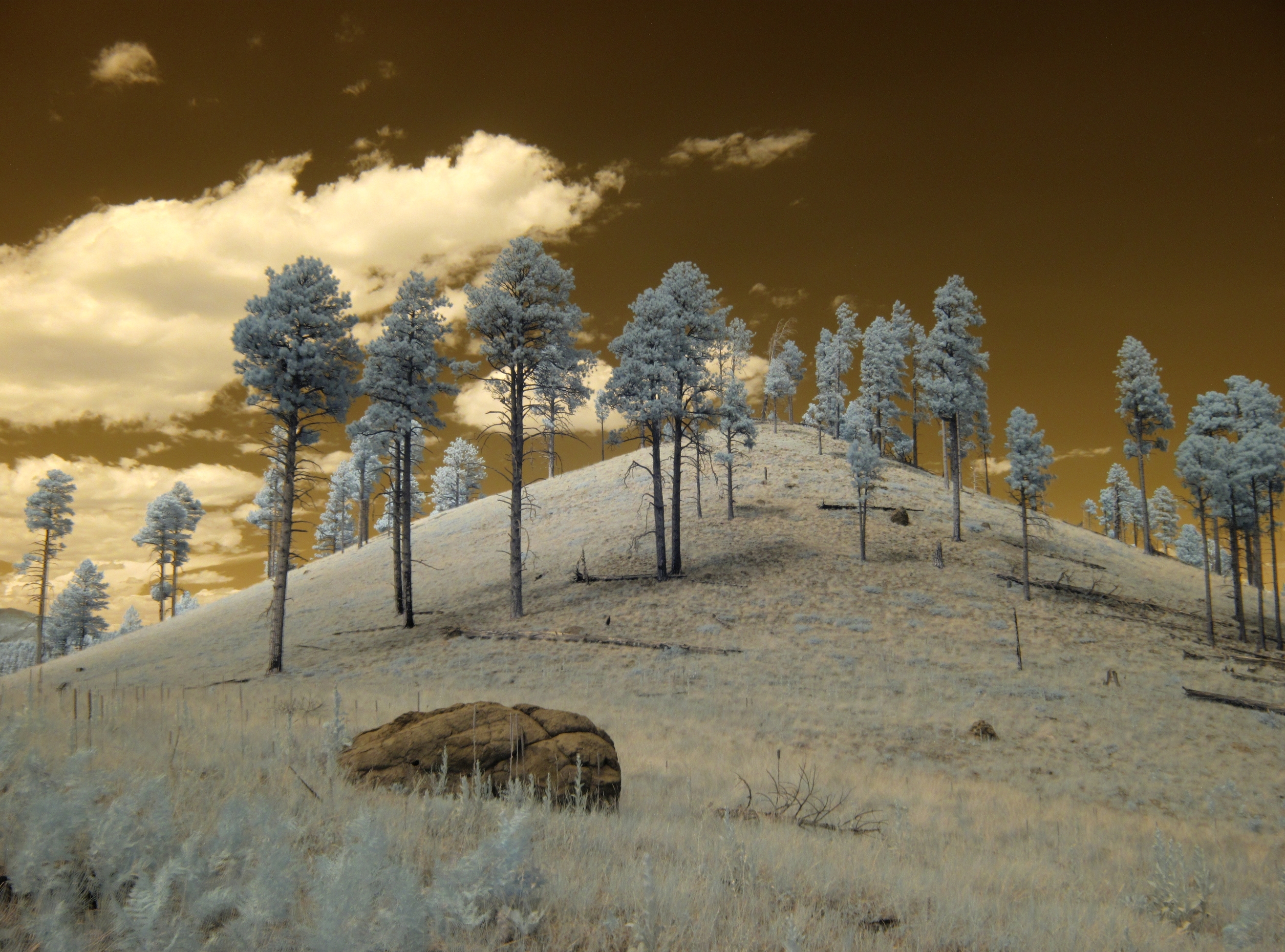 Flagstaff, San Francisco Peaks