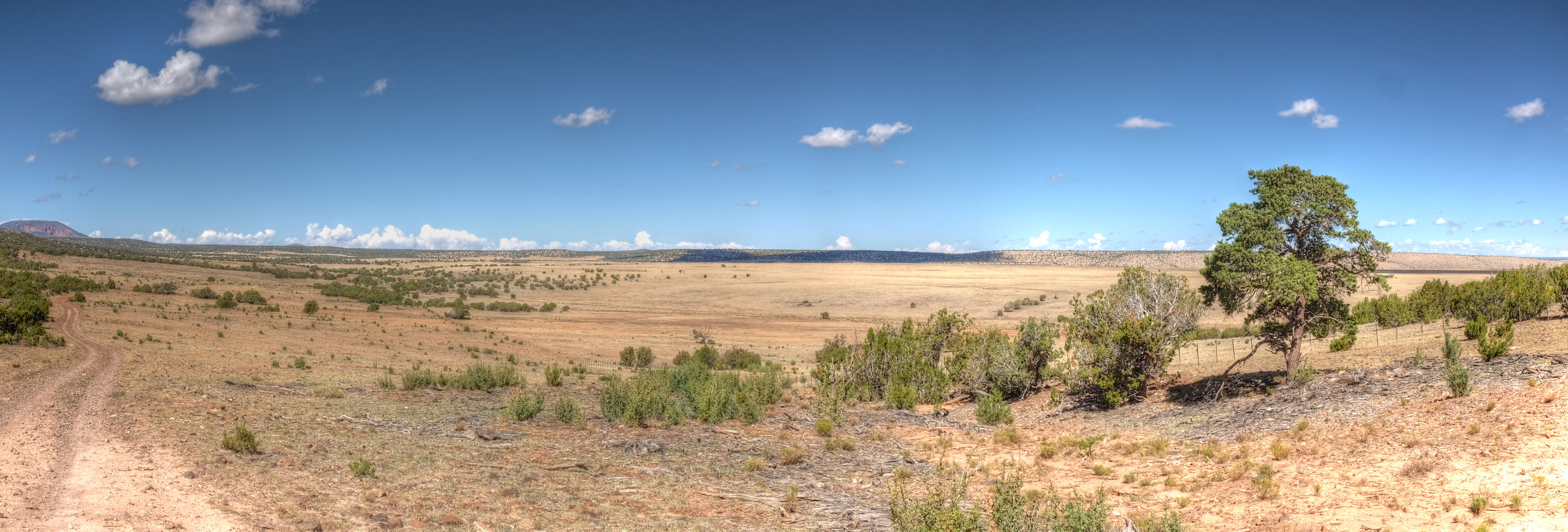 Az Trail