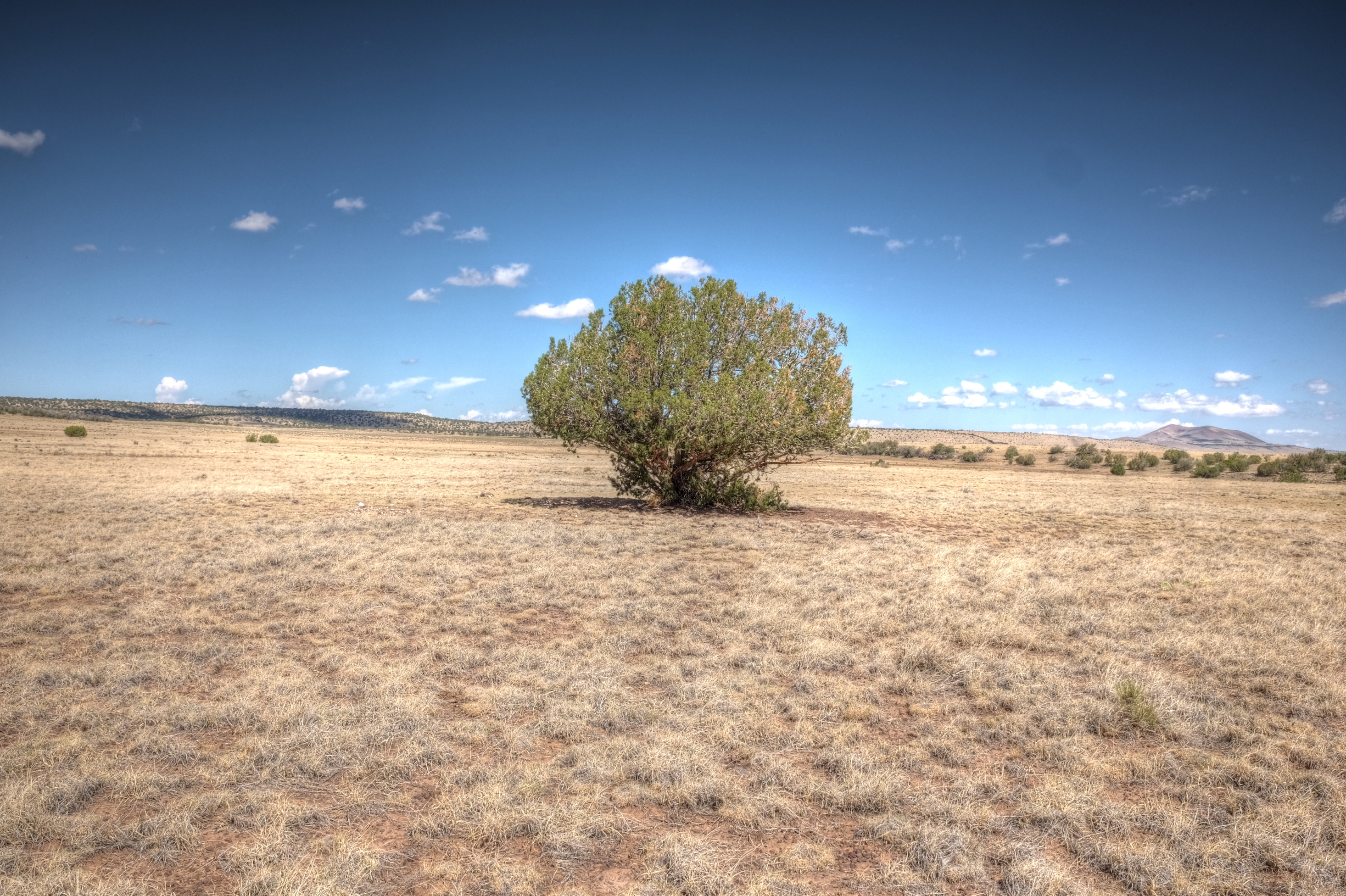 Az Trail