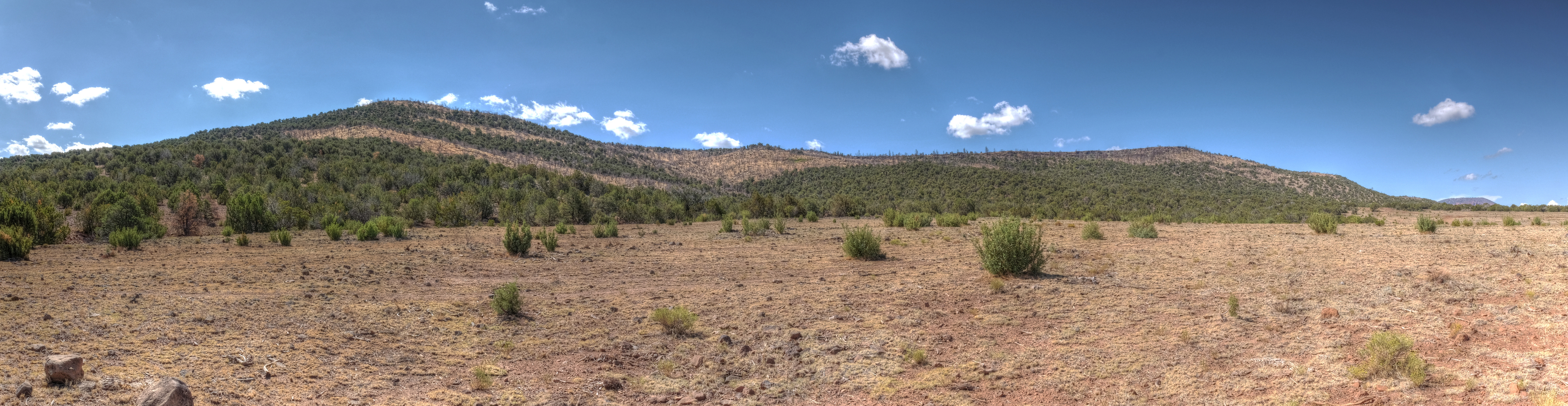 Az Trail