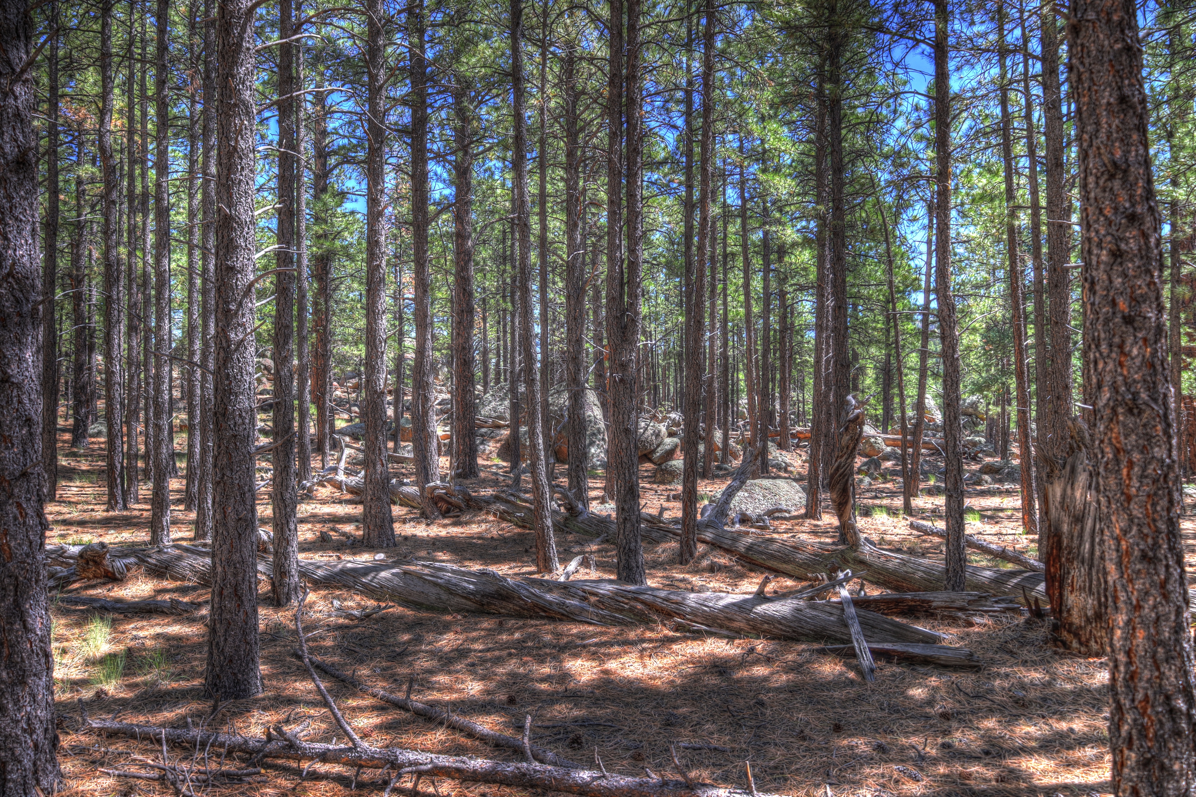 Flagstaff