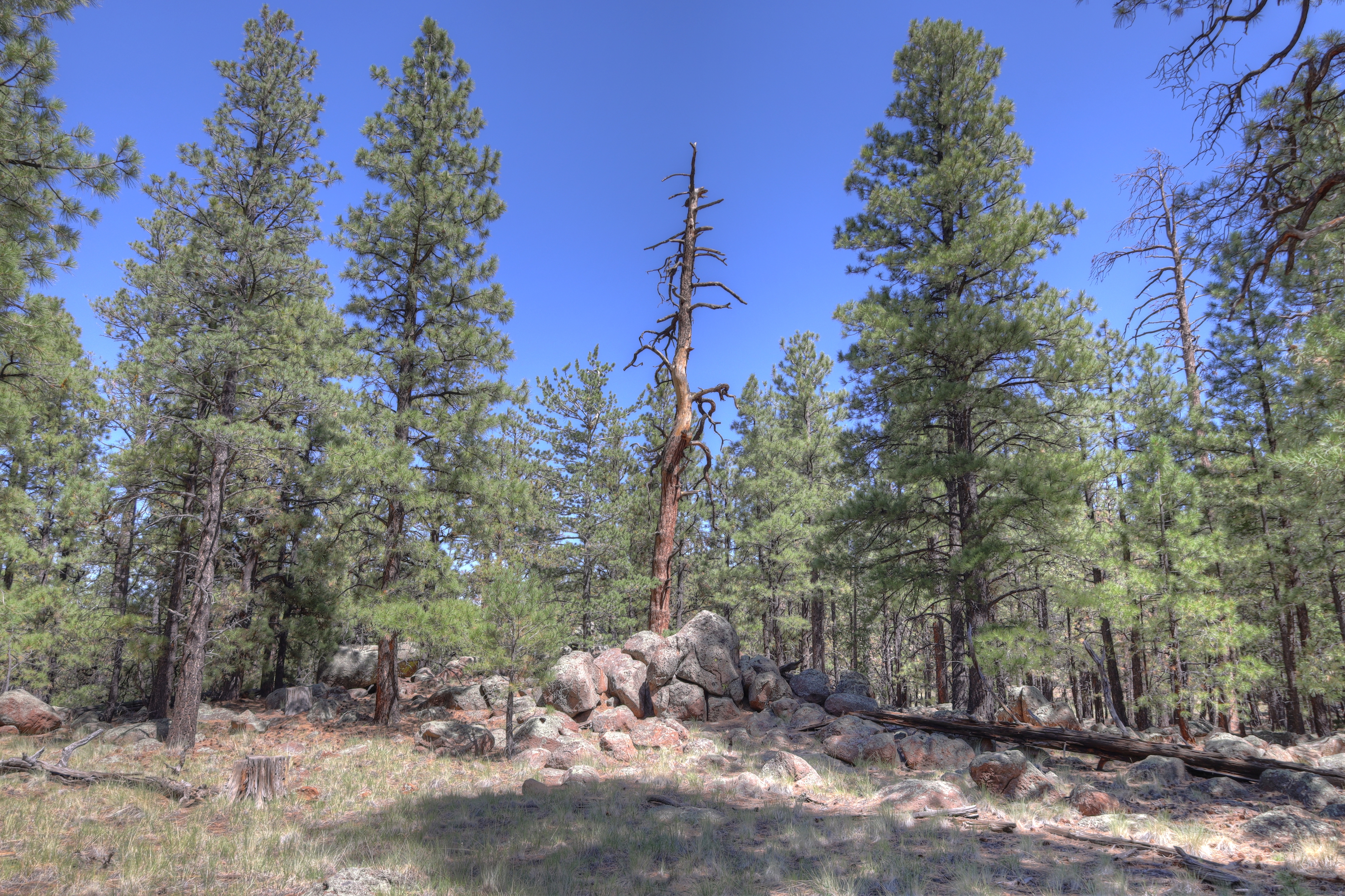 Flagstaff
