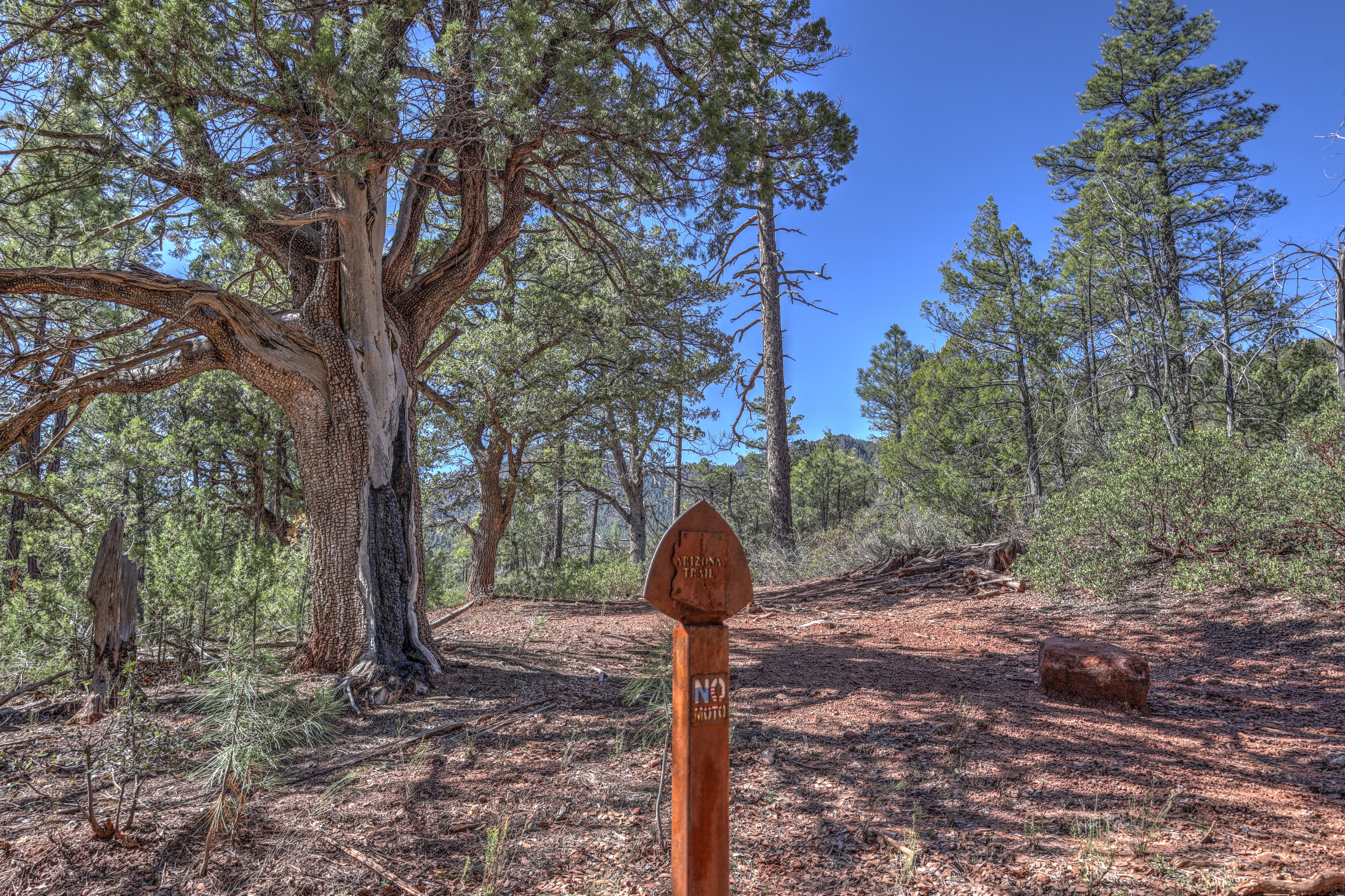 Geronimo, Az Trail