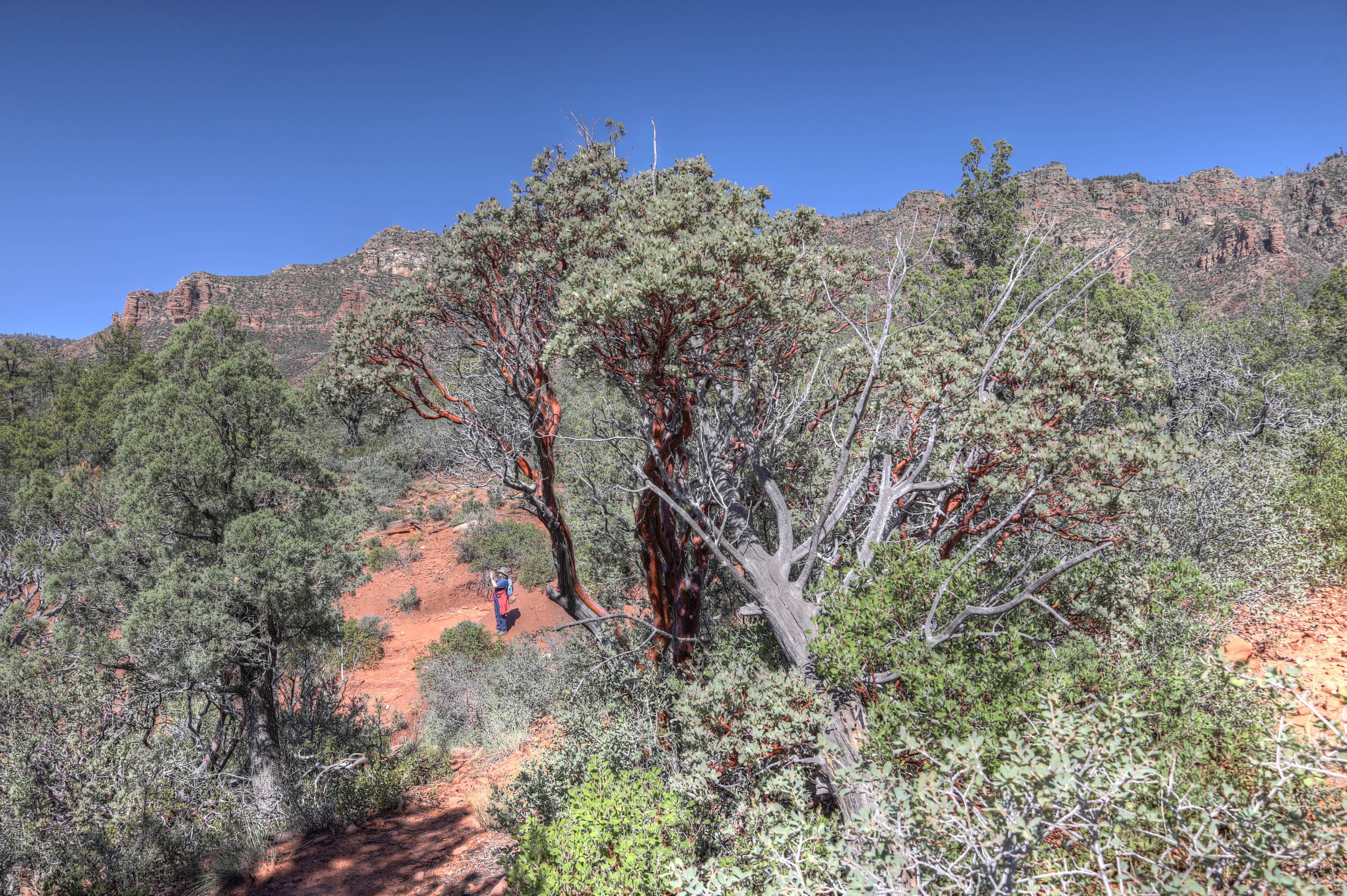 Geronimo, Az Trail