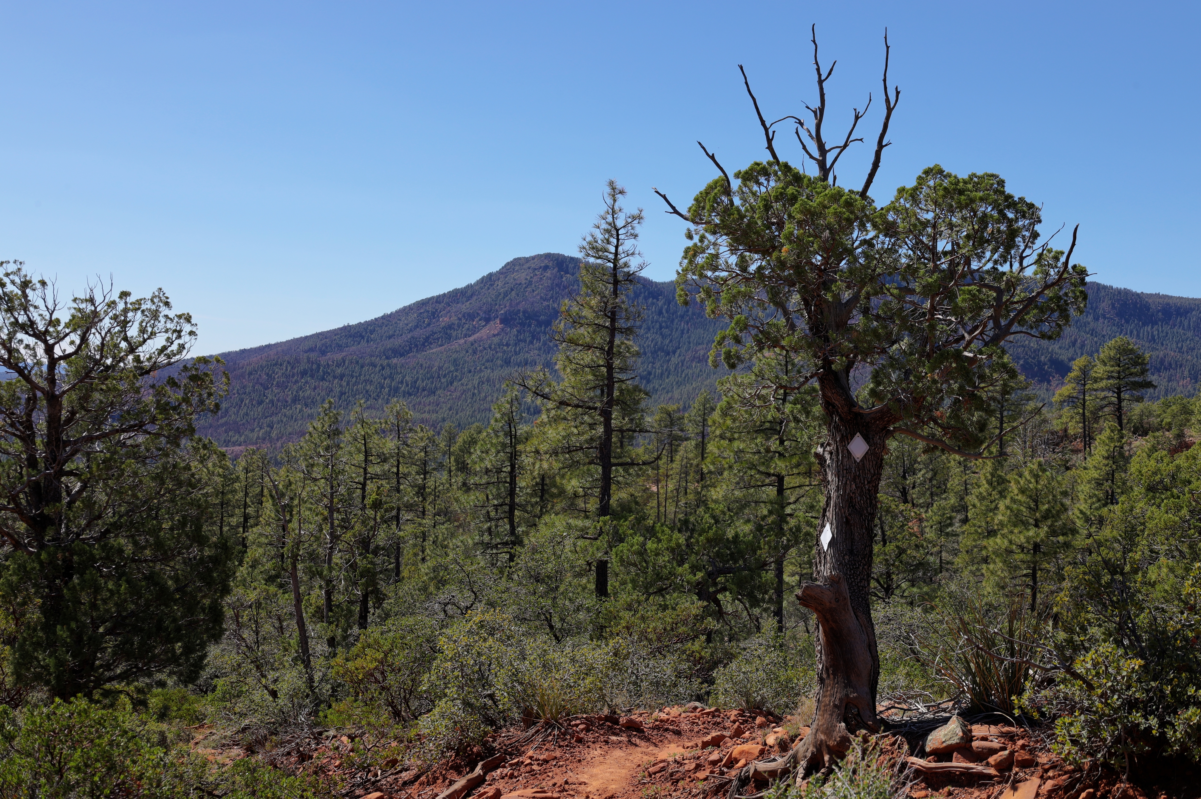 Geronimo, Az Trail