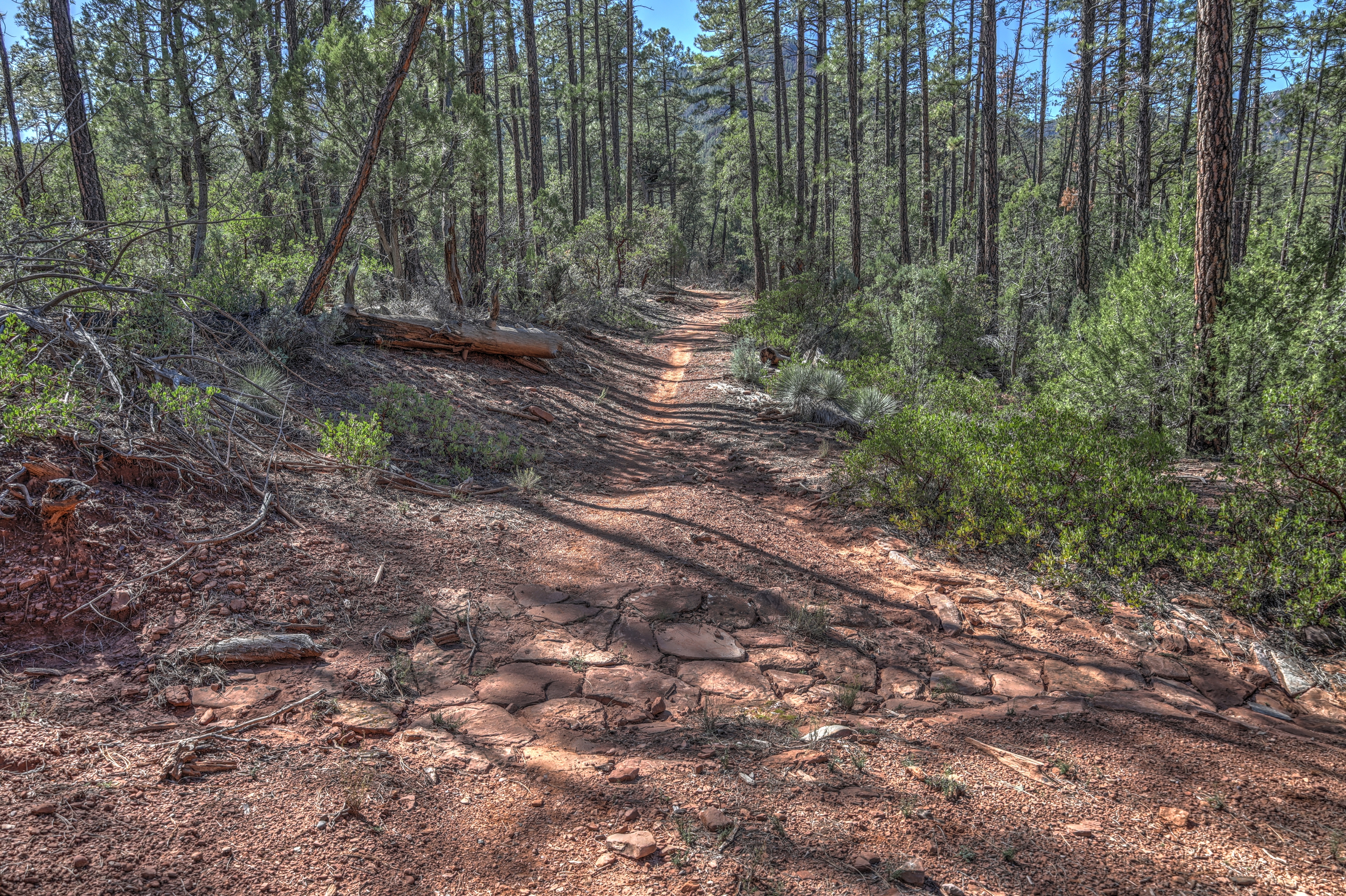 Geronimo, Az Trail
