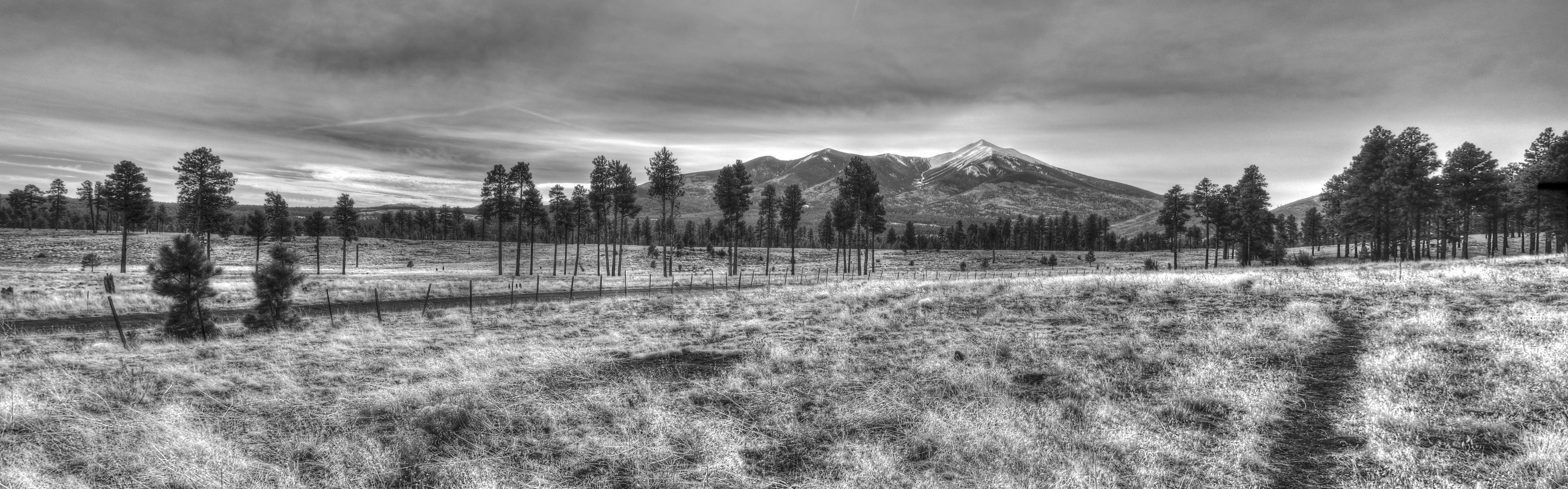 AzTrail, North of the San Francisco Peaks
