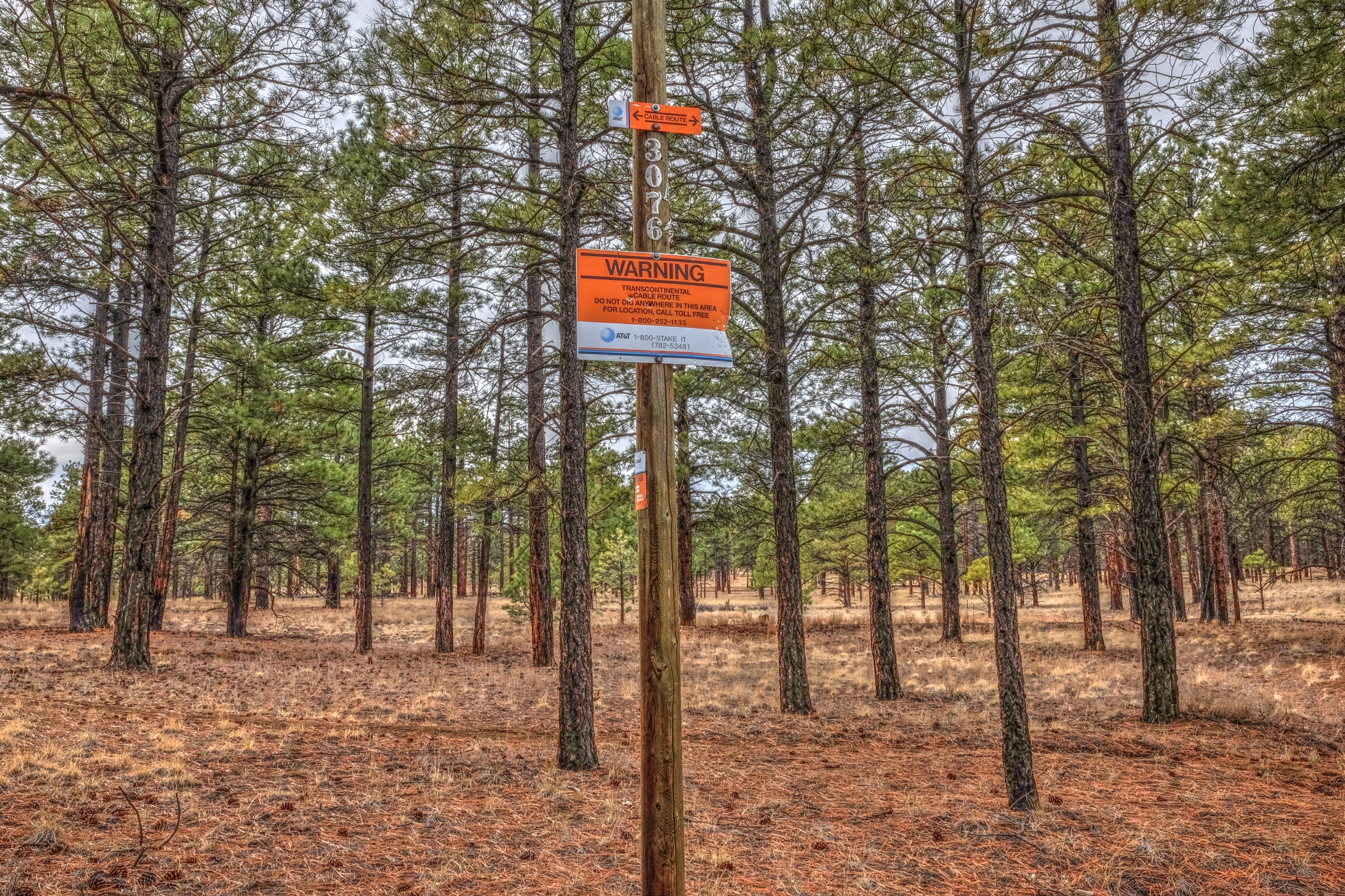 AzTrail, North of the San Francisco Peaks