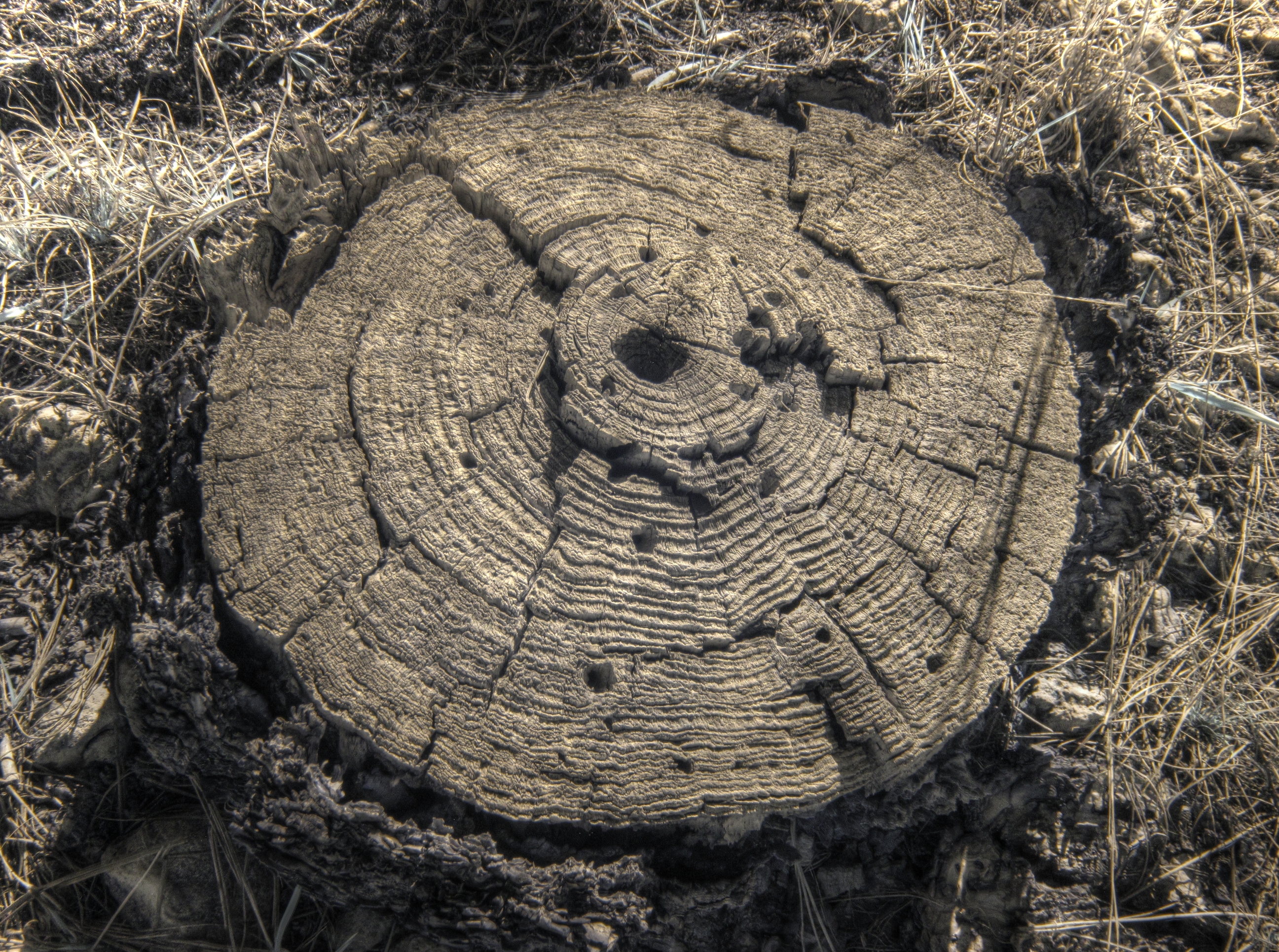 Flagstaff, Fay Canyon