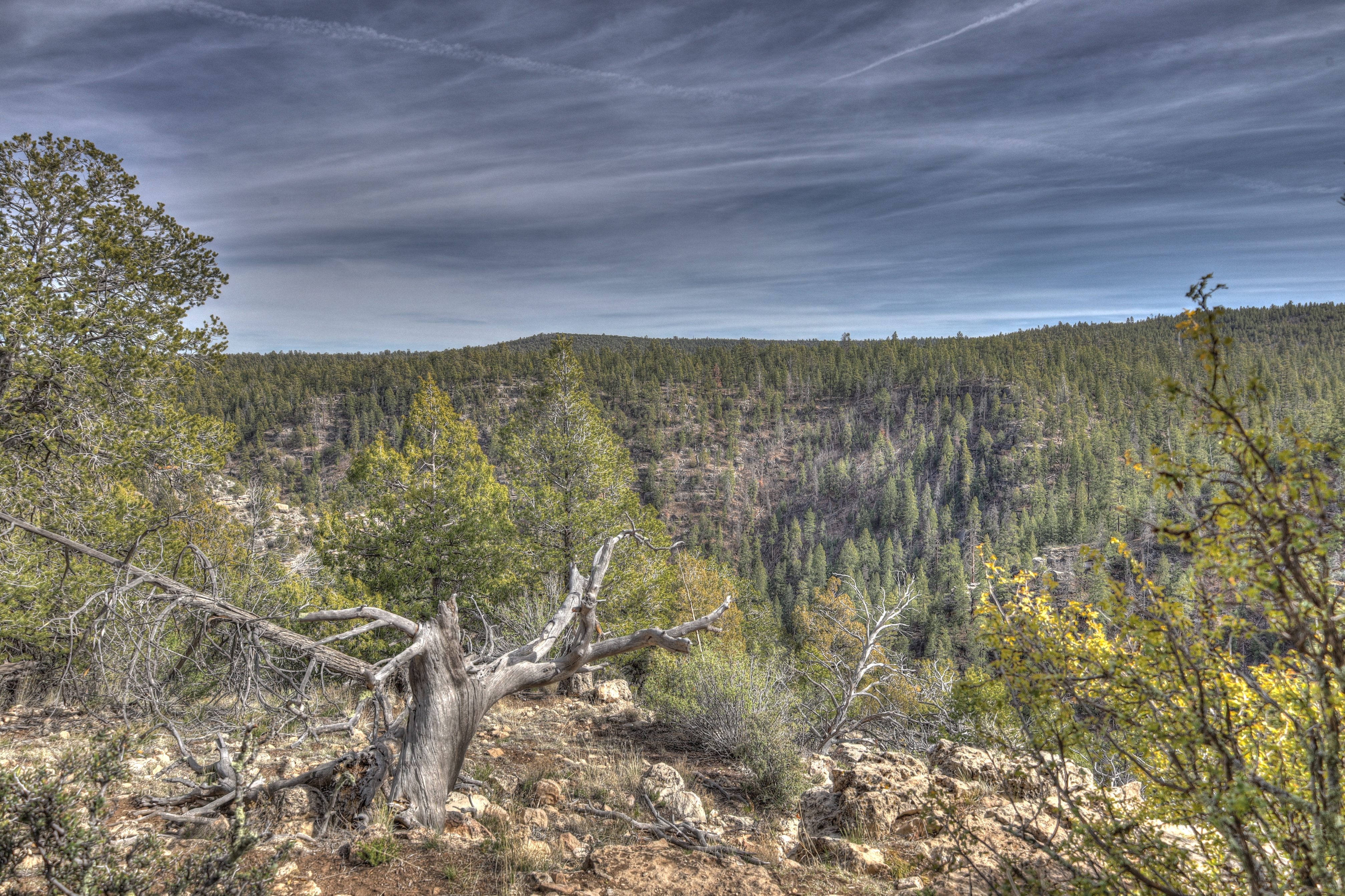 Walnut Canyon, AzTrail
